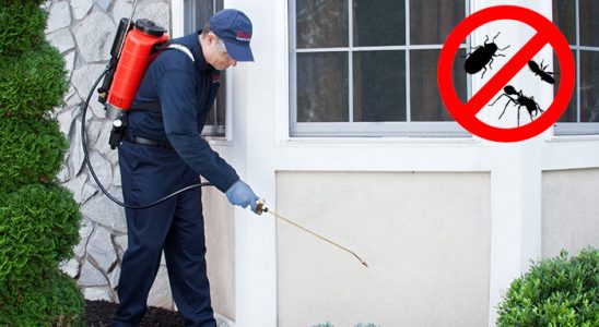 Villakent Tahtakurusu İlaçlama böcek ilaçlama ve haşere kontrolü — ilaclama-tr.com
